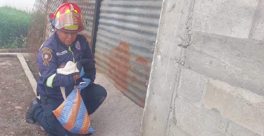 Localizan recién nacida dentro de un morral en aldea Las Lagunas, San Marcos