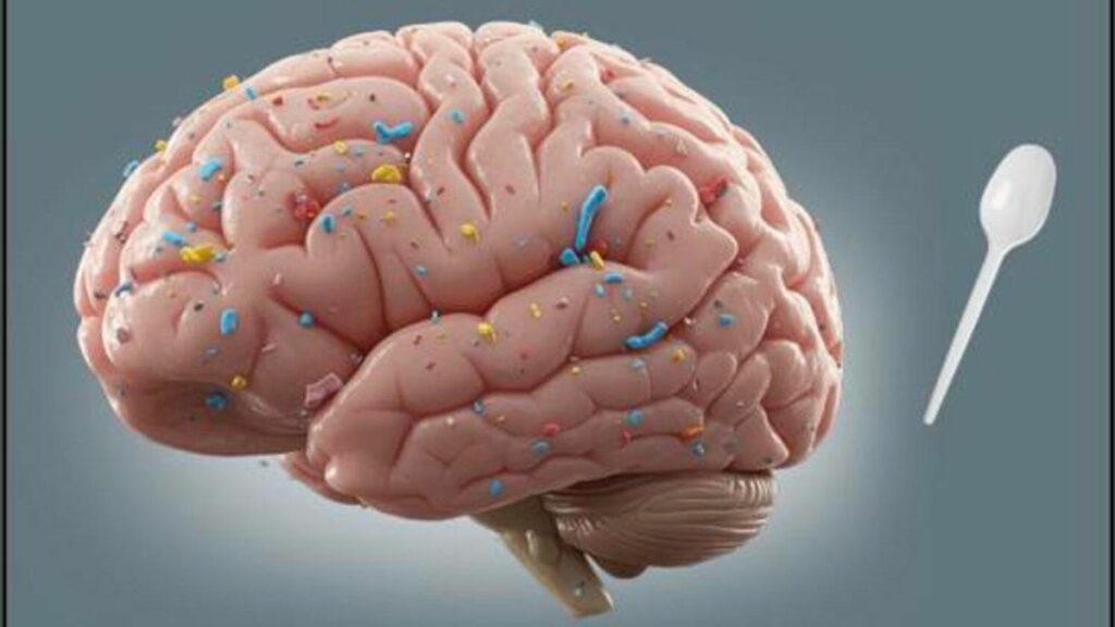 Los cerebros humanos contienen ‘una cucharada’ de microplásticos que dañan la salud mental