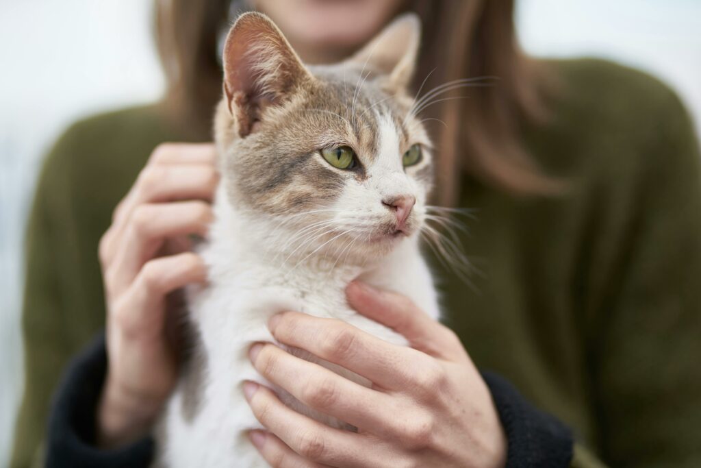 Terapia con gatos: cómo nos ayuda su ronroneo a sobrellevar el estrés y la tristeza