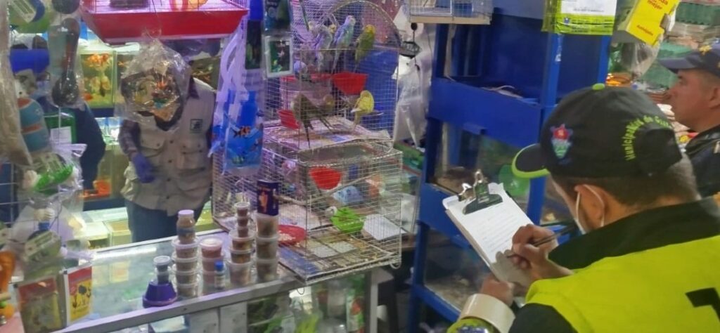 Mercado El Guarda: Se realiza allanamiento para localizar especies exóticas