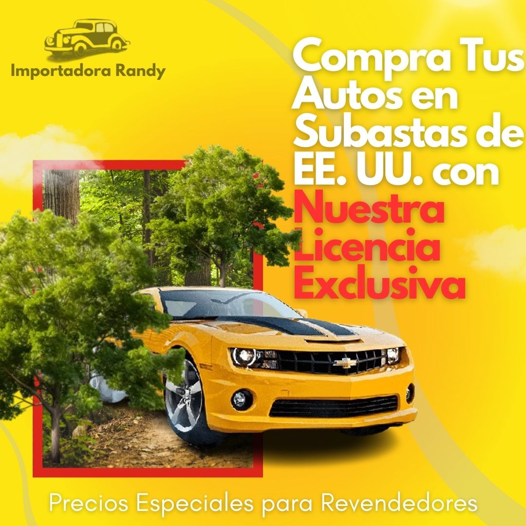 IMPORTADORA RANDY LLAMANOS AHORITA MISMO AL 502 5554 3771