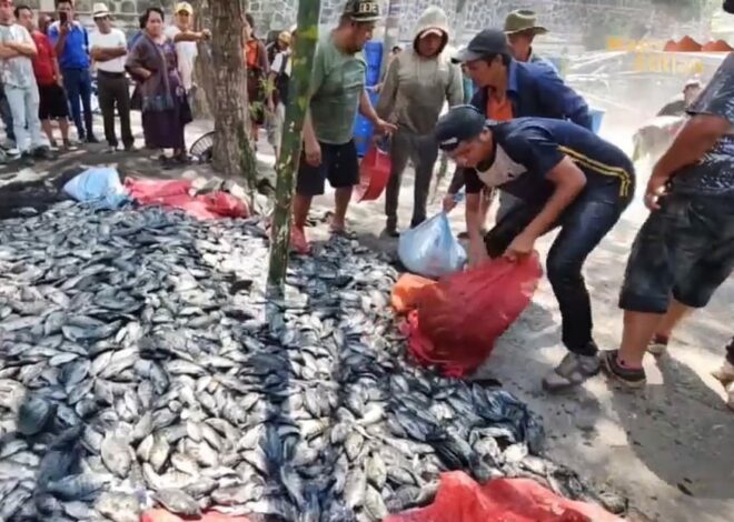 RETIRAN JAULAS QUE CONTIENEN TILAPIA DENTRO DEL LAGO DE ATITLAN  NOSOTROS NO SOMOS COBARDES DEFENDEMOS LO NUESTRO, NO COMO AQUELLOS DE AMATITLAN QUE DEJARON CONTAMINAR SUS LAGOS DIJERON POBLADORES DE SAN TIAGO ATITLAN MUNICIPIO DEL DEPARTAMENTO DE SOLOLA.
