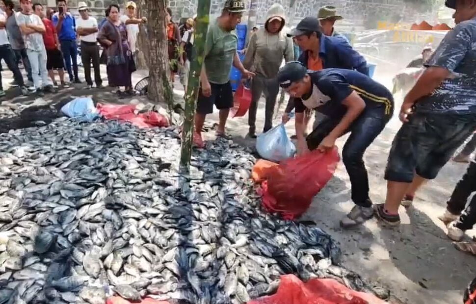 RETIRAN JAULAS QUE CONTIENEN TILAPIA DENTRO DEL LAGO DE ATITLAN NOSOTROS NO SOMOS COBARDES DEFENDEMOS LO NUESTRO, NO COMO AQUELLOS DE AMATITLAN QUE DEJARON CONTAMINAR SUS LAGOS DIJERON POBLADORES DE SAN TIAGO ATITLAN MUNICIPIO DEL DEPARTAMENTO DE SOLOLA.