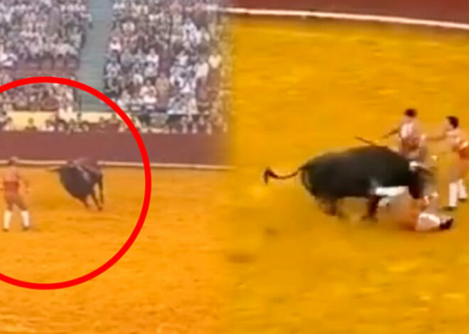 ¡Durante su debut! Torero muere tras grave cornada (VIDEO)