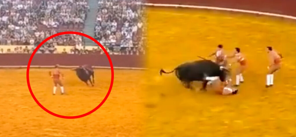 ¡Durante su debut! Torero muere tras grave cornada (VIDEO)