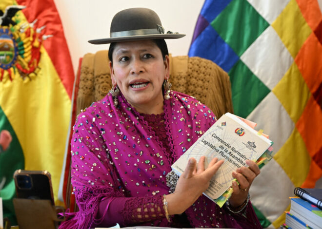 Congreso de Bolivia aprueba ley que prohíbe el matrimonio con menores