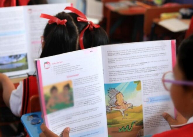 Mineduc planea contratar más de 5 mil tutores para recuperar clases perdidas