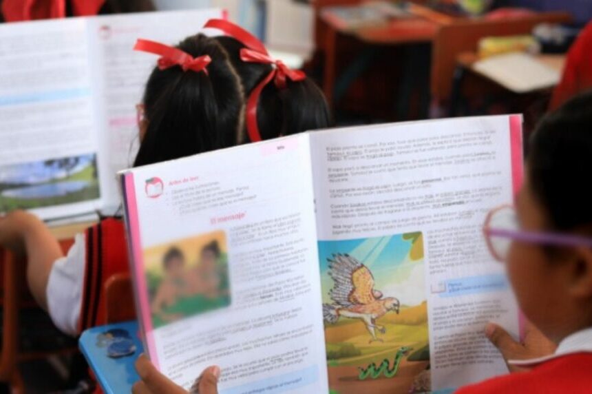 Mineduc planea contratar más de 5 mil tutores para recuperar clases perdidas