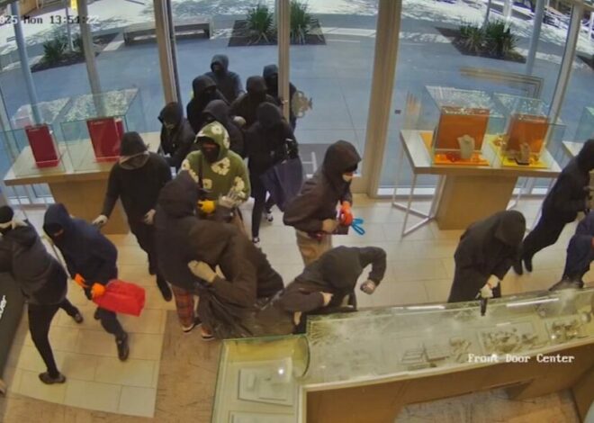 Impactante: Unas 25 personas asaltan joyería en California y roban $1 millón