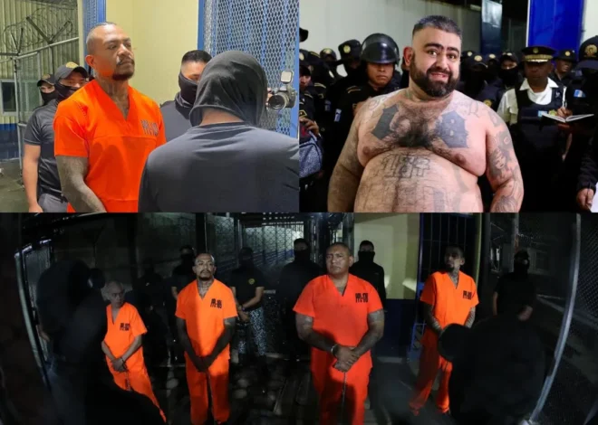 EE.UU. designa a la pandilla Barrio 18 como una organización terrorista