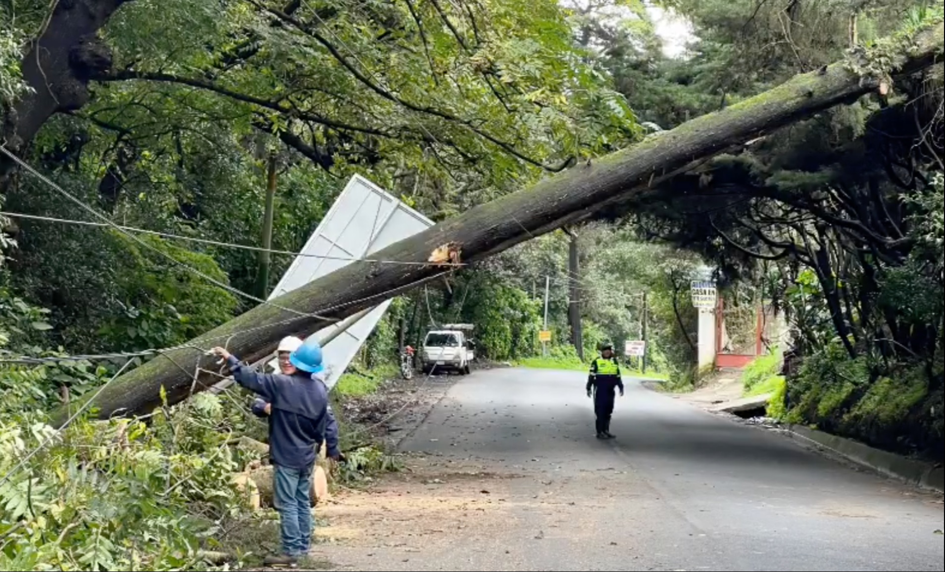 ÁRBOL CAE EN RUTA QUE DIRIGE A VILLA NUEVA