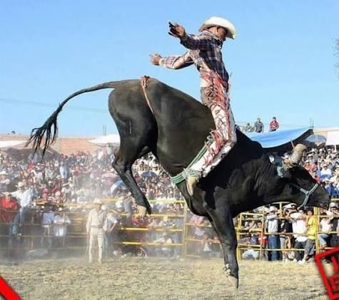 ¡HOY! Jaripeo y Fiesta  en San Miguel Petapa