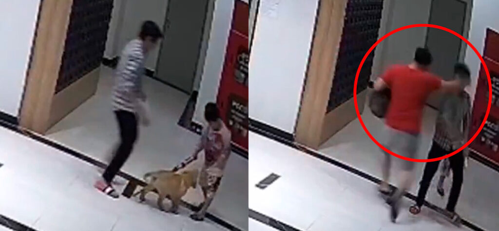 Hombre golpea fuertemente a otro por empujar a su perro