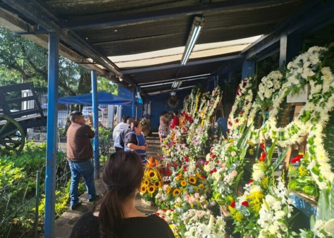 Vendedores del Mercado de Flores en zona 3 se preparan para alta demanda este 1 de noviembre