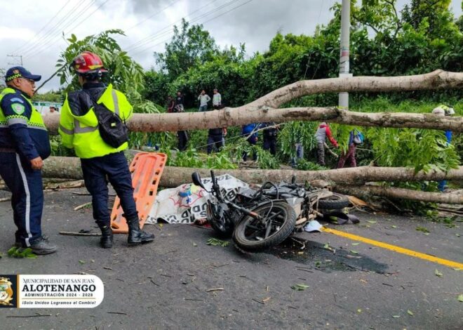 LE CAE UN ARBOL A UN MOTORISTA Y PIERDE LA VIDA, EL HECHO FUE EN ALOTENANGO HACIA CIUDAD VIEJA.