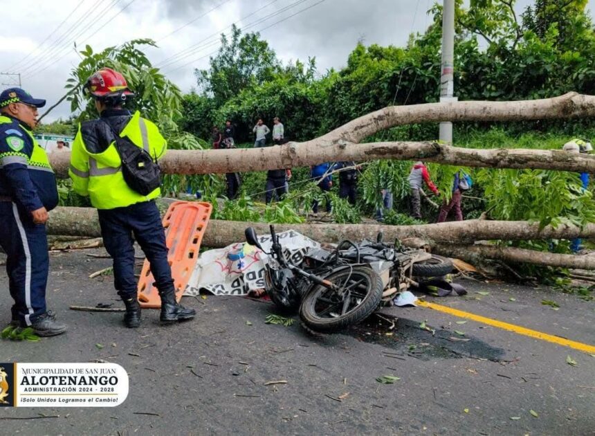 LE CAE UN ARBOL A UN MOTORISTA Y PIERDE LA VIDA, EL HECHO FUE EN ALOTENANGO HACIA CIUDAD VIEJA.
