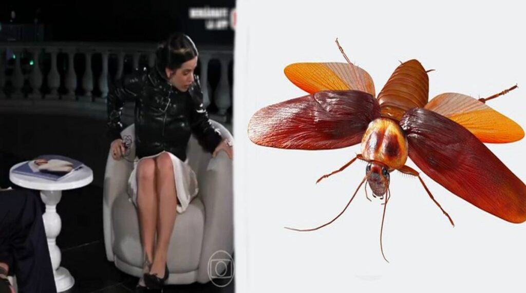 La Rosalía sale huyendo en plena entrevista por una cucaracha voladora