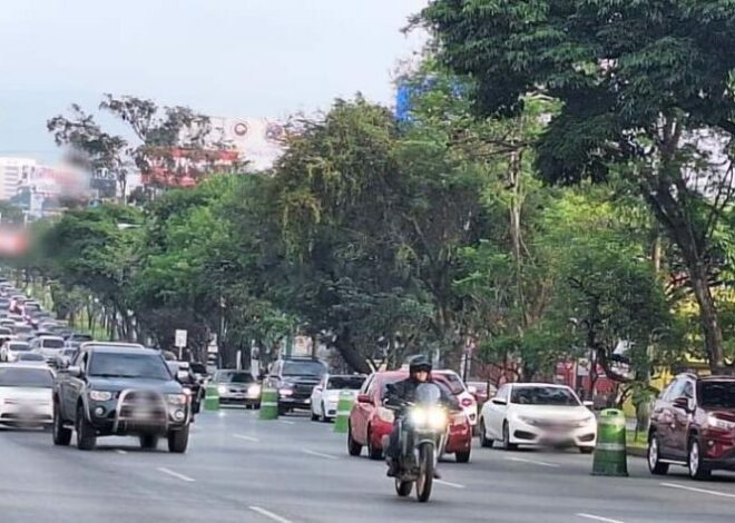 Transporte de más de 3.5 toneladas tendrá prohibición horaria en diciembre y enero