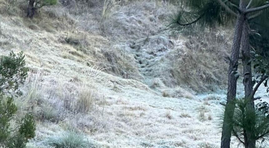 INSIVUMEH pronostica frente frío y posibles heladas para el occidente del país