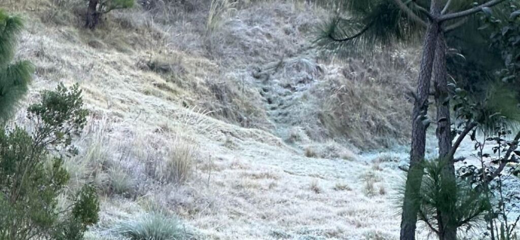 INSIVUMEH pronostica frente frío y posibles heladas para el occidente del país